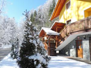 a house with a snow covered tree in front of it at Apartments Gatej in Cerkno