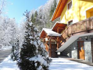 una casa con un árbol cubierto de nieve delante de ella en Apartments Gatej, en Cerkno