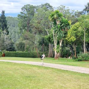 Επισκέπτες που μένουν στο The Equator Haven +7 φωτογραφίες