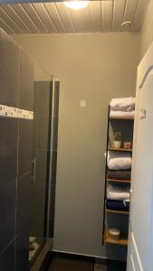 a bathroom with a shower and some towels at T3 moderne avec piscine proche de Family Plaza in Matoury