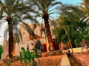 two palm trees in front of a building at El-Beit in Siwa