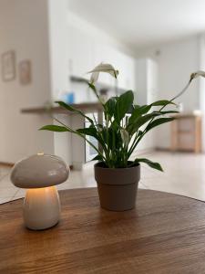 Φωτογραφία από το άλμπουμ του Appartamento completo, ben attrezzato con giardino σε San Michele allʼAdige