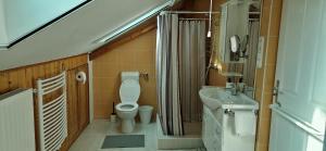 een kleine badkamer met toilet en wastafel bij Erdőalja-Padlástér in Jásd +19 foto's