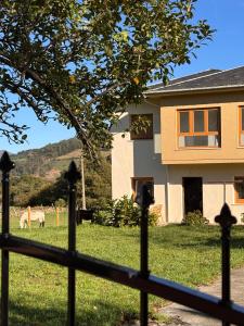 Общий вид на горы или вид на горы из дома для отпуска +9 фотографий