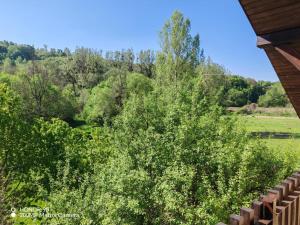 een uitzicht vanaf het dak van een huis op een boom bij Erdőalja-Padlástér in Jásd