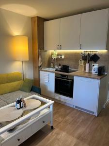 eine Küche mit einer Couch und einem Tisch in einem Zimmer in der Unterkunft Chamkoria Forest View & Spa Apartment in Borowez