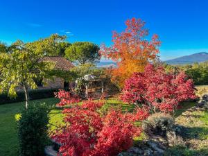 un grupo de árboles con hojas rojas y naranjas en Finca La Sayuela, en El Raso