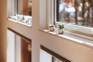 長野市にあるPeak Hakuba 峰白の窓辺に置かれた2つの小さな植物 +106枚の写真