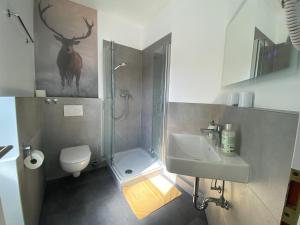 a bathroom with a shower and a sink and a toilet at Hotel W Wolfsschlucht in Baden-Baden +25 photos