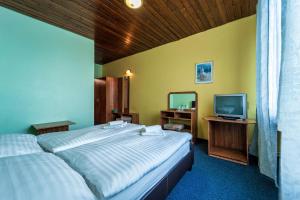 ein Hotelzimmer mit Bett und Fernseher in der Unterkunft Hotel Slovakia in Žilina