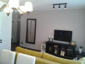ein Wohnzimmer mit einem gelben Sofa und einem TV in der Unterkunft Luxury Apartment in Druskininkai