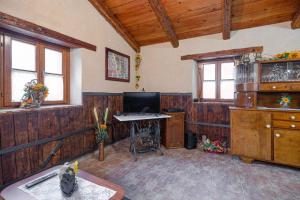 Μια τηλεόραση ή/και κέντρο ψυχαγωγίας στο Apartment in Nova Vas - Porec - Istrien 46931