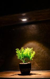 Imagine din galeria proprietății Chic Signature Stay By the Train Station în Kenitra