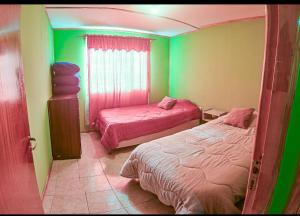 a bedroom with green and pink walls and two beds at Hospedaje el Gorocito in Caleta Olivia