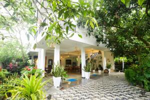 韦利格默Plant Mama Guest House的种有植物和树木的庭院