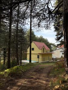 Ein Haus im Wald mit einer unbefestigten Straße in der Unterkunft Streha Pishave in Elbasan