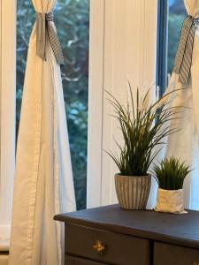 a table with two potted plants in a window at Stylish, Spacious City Hideaway - Sleeps up to 9 in Cardiff +39 photos