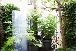 a greenhouse filled with lots of plants in pots at Hotel Estheréa in Amsterdam