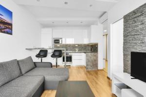 City Bright Apartment with Parking & Balcony في Trnávka: غرفة معيشة مع أريكة رمادية ومطبخ