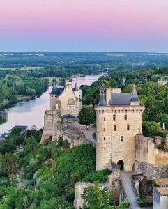 an old castle on a hill next to a river at Maison familiale Chinon in Chinon