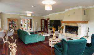 a living room with green furniture and a fireplace at Villa Amalia 
