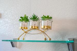 a shelf with three glass jars on it with plants on it at Ecos del Mar 2 - Villa 7 · Modern 2BR Villa in Downtown Punta Cana in Punta Cana