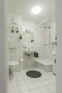 Koupelna v ubytování Lovely 1 room apartment near Basel