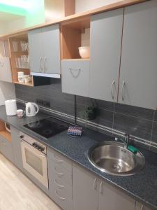a kitchen with a sink and a counter top at Link Kauno marių... in Kaunas