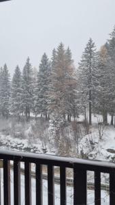a view of a snow covered yard with trees at Casa Dalja in Abetone