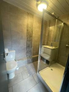 un bagno con wc, doccia e lavandino di Allon Manor De'Grey a Hull