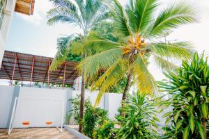 a palm tree in front of a white building at Roots and Waves Apartment in Zanzibar City