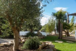 a garden with a tree and a lake at Cottage, Lodge & Spa 54 in Prouilly