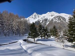 a snow covered field with trees and a mountain at Bergkristall Hütte in ruhiger Panoramalage in Sankt Sigmund im Sellrain