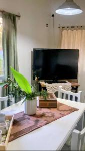 a dining room table with a television and a plant at Vientoafavorcabanas in Chascomús