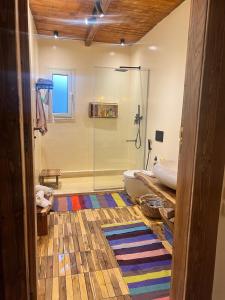 a bathroom with a shower and a toilet and a sink at Hathors Terrace Apartment in Luxor +10 photos