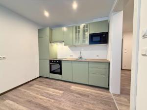 a kitchen with green cabinets and a sink at Treehouse - Alpinlake Apartments in Grünau im Almtal