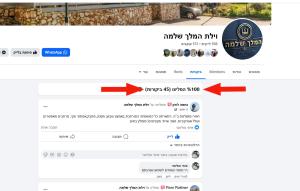 Wadi KerenKing Solomon Villa的网站上小型货车租赁页面的截图