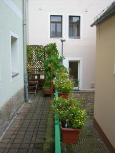 eine Terrasse mit Topfpflanzen auf einem Haus in der Unterkunft Ferienwohnung Seidel in Bad Schandau