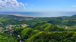 an aerial view of a valley of trees and the ocean at The View Luxe Boutique Hotel 