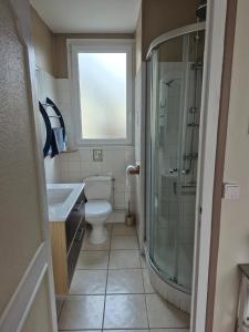 Un baño con ducha, inodoro y lavabo. en Le Moulin Garnier, en Vernou-sur-Brenne 33 fotos más