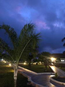 Κήπος έξω από το Sand Beach Holiday Resort