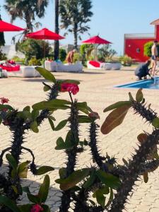 Κήπος έξω από το Sand Beach Holiday Resort