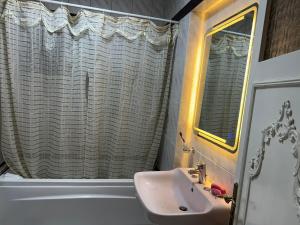 ein Badezimmer mit Waschbecken und Duschvorhang in der Unterkunft Nile View Apartment - Fully Furnished in Kairo + 20 Fotos