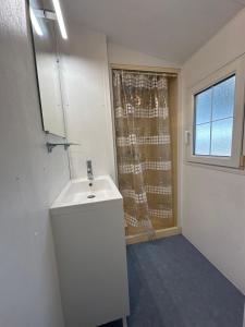 Latour-Bas-ElneChalet Proche mer的一间带白色水槽和窗户的浴室 更多38张照片