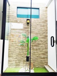 a palm tree in front of a brick wall at Departamento Moderno - Zona Exclusiva - Huacachina in Ica