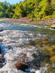 a river with rapids on a rocky shore with trees at Rickson Riverside Campsite in Dawki