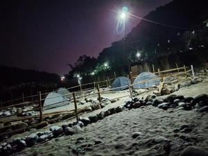 a group of sheep in a field at night at Rickson Riverside Campsite in Dawki