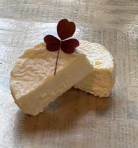 a piece of cheesecake with a flower on top of it at Rosenli Gård in Tønsberg