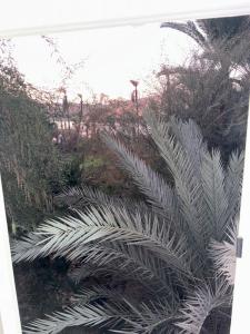 Φωτογραφία από το άλμπουμ του Mayor Nubian guest house στο Ασουάν