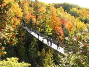 a group of people walking across a bridge in the forest at LE COZY - Mont Sainte-Anne in Beaupré